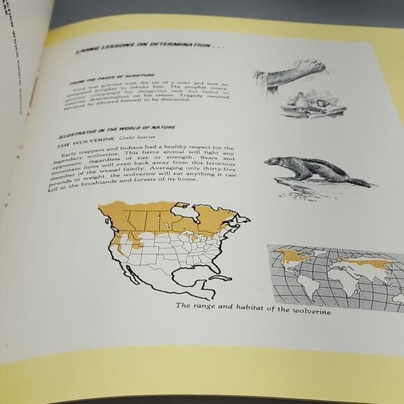 Character Sketches from the Pages of Scripture Illustrated Gothard 1st Edition - Picture 11 of 15